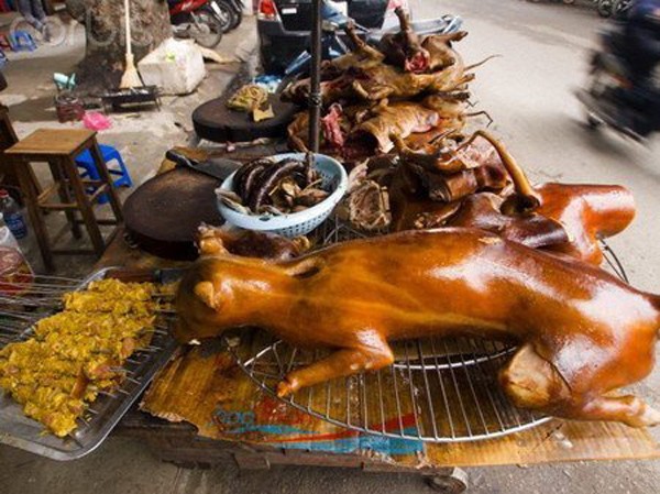 Thịt chó Việt Nam bày ngoài chợ- món ăn kì lạ trong mắt du khách